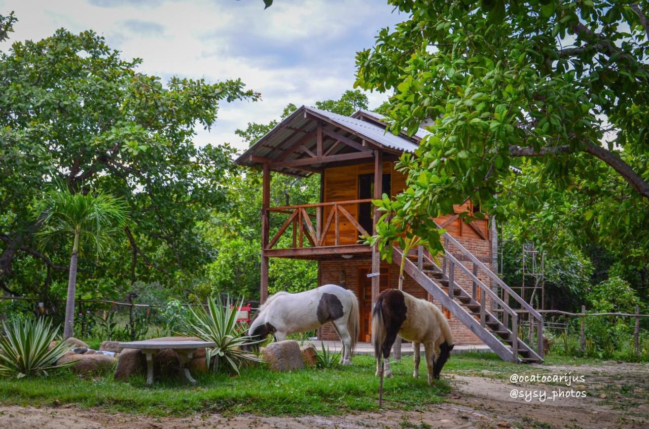 Oca Tocarijus Eco Resort Piracuruca Luaran gambar