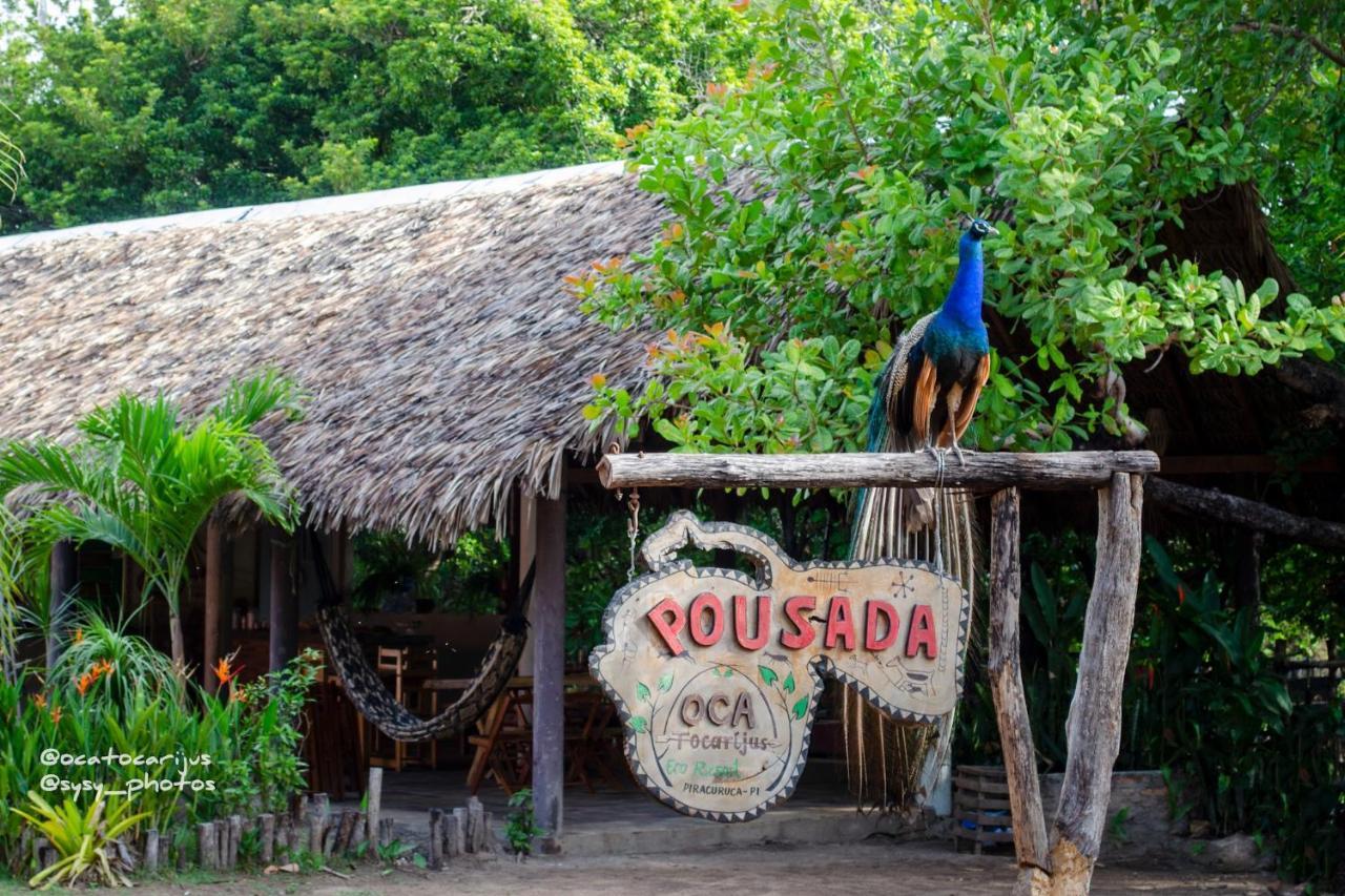 Oca Tocarijus Eco Resort Piracuruca Luaran gambar